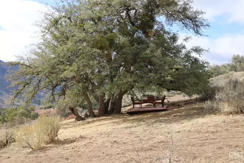 17401 Mountain Climber Way, Tehachapi, CA 93561 photo 23