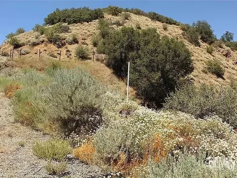 17930 Mountain Climber Way, Tehachapi, CA 93561 photo 4