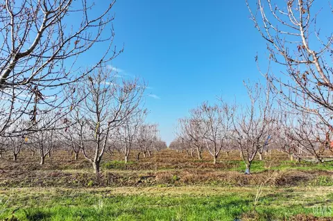 0 E Bear Mountain Blvd, Arvin, CA 93203 photo 7