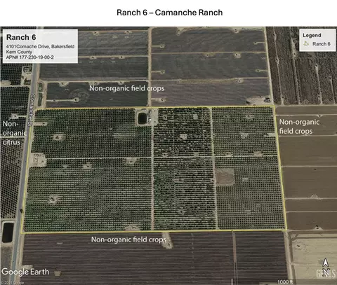 0 Comanche 80ac Organic Navels, Bakersfield, CA 93307