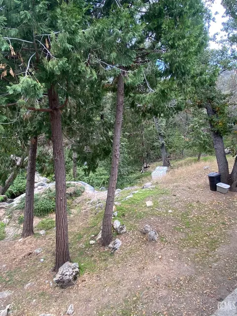 44361 Old Stage Rd, Posey, CA 93260 photo 10