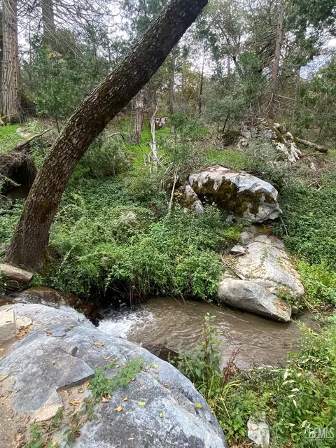 44361 Old Stage Rd, Posey, CA 93260 photo 8