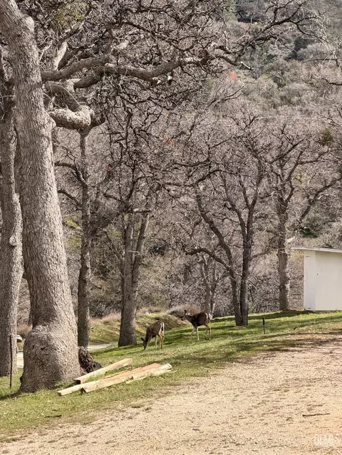 20313 Rex Dr, Tehachapi, CA 93561 photo 6