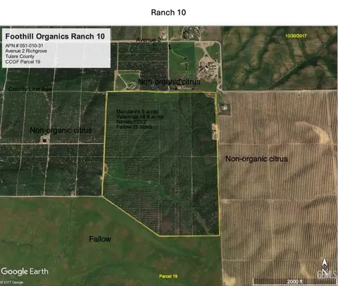 1 192ac Organic Citrus - Ranch10, Delano, CA 93215
