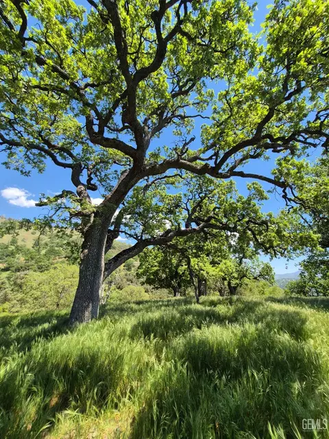 28251 Deertrail Dr, Tehachapi, CA 93561 photo 2
