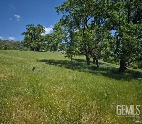 28251 Deertrail Dr, Tehachapi, CA 93561 photo 3