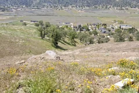 View/Area - 27020 Barkes Way, Tehachapi, CA 93561 photo 1 of 4