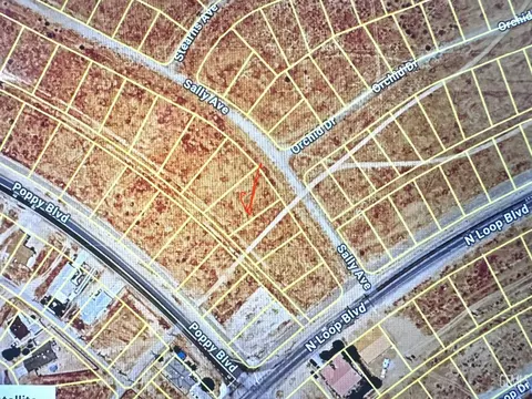 0 Sally, California City, CA 93505