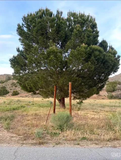 0 Caliente Creek Rd, Caliente, CA 93518 photo 6