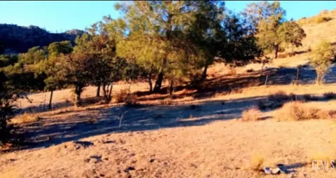 0 Caliente Creek Rd, Caliente, CA 93518 photo 12