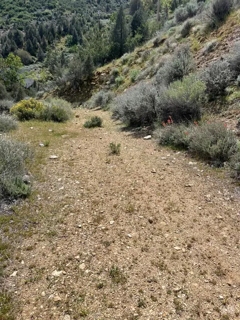 0 Iowa Tri #LOT 27, Frazier Park, CA 93225