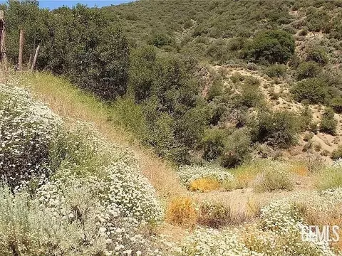 17930 Mountain Climber Way, Tehachapi, CA 93561 photo 5