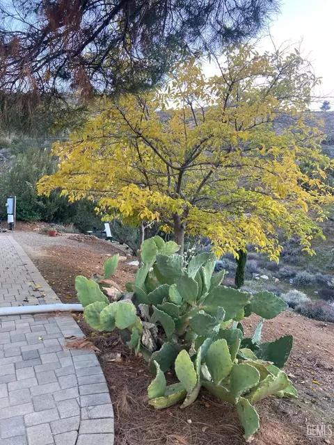 Other - 495 Brick Dr, Bodfish, CA 93205 photo 18 of 24