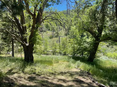 16901 Grindelwald Dr, Tehachapi, CA 93561 photo 11
