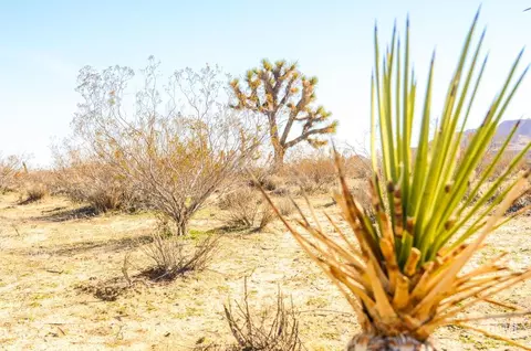 3900 Sunset Ave, Mojave, CA 93501 photo 47
