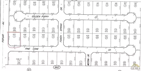 868 Pine Cone St, Shafter, CA 93263 photo 3