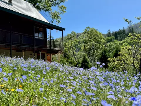 Exterior - 39 Jessie Way, Posey, CA 93260 photo 7 of 10