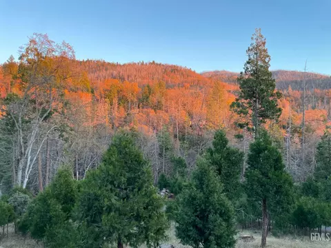 Other - 39 Jessie Way, Posey, CA 93260 photo 11 of 15