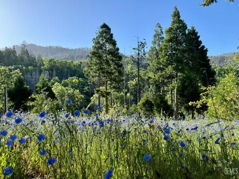 Other - 39 Jessie Way, Posey, CA 93260 photo 17 of 19