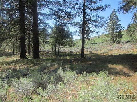 16901 Interlaken St, Tehachapi, CA 93561 photo 1