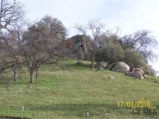 45823 Sugarloaf Dr, Posey, CA 93260 photo 14