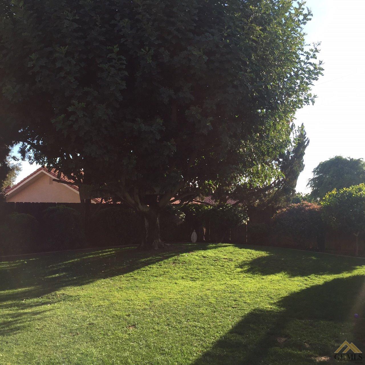 4803 Christmas Tree Ln, Bakersfield, CA 93306 photo 17