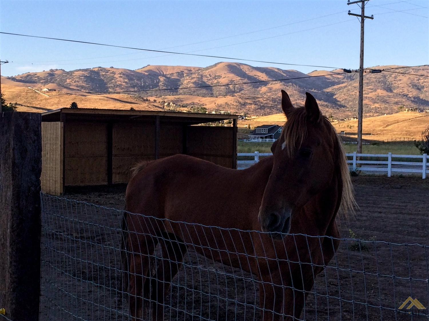 20918 Oak Knoll Dr, Tehachapi, CA 93561 photo 4