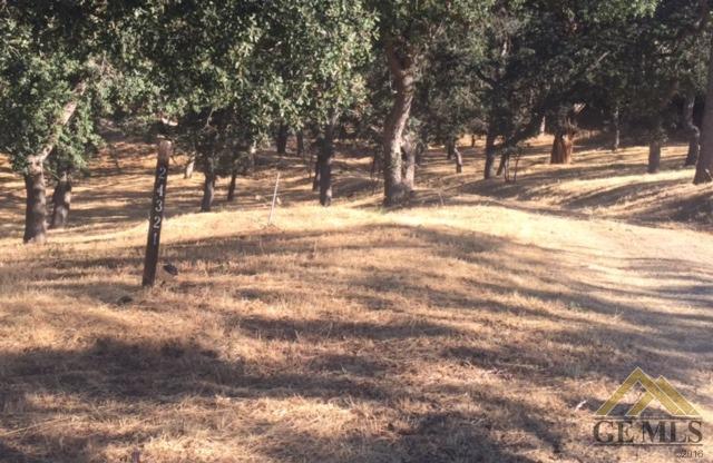 24321 San Juan Dr, Tehachapi, CA 93561 photo 24