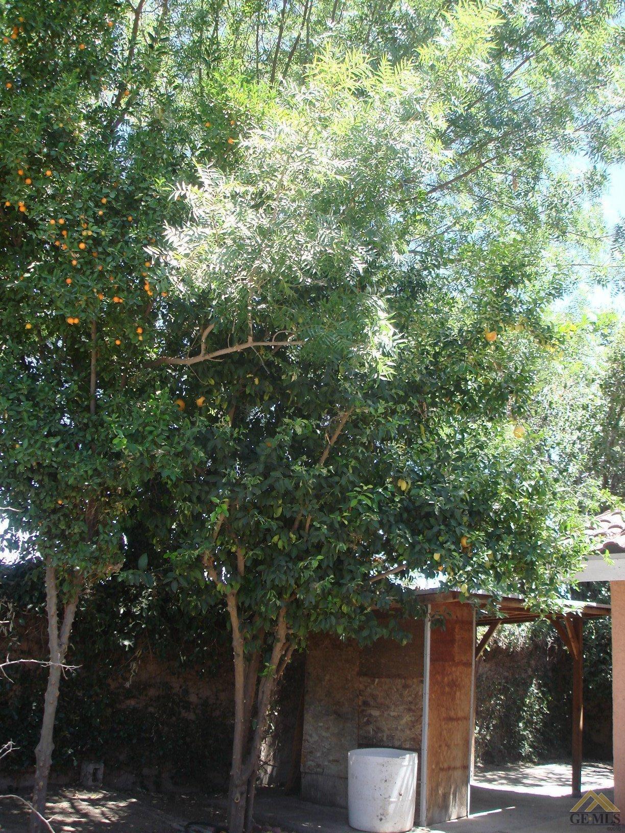 2009 5th Dr, Delano, CA 93215 photo 21