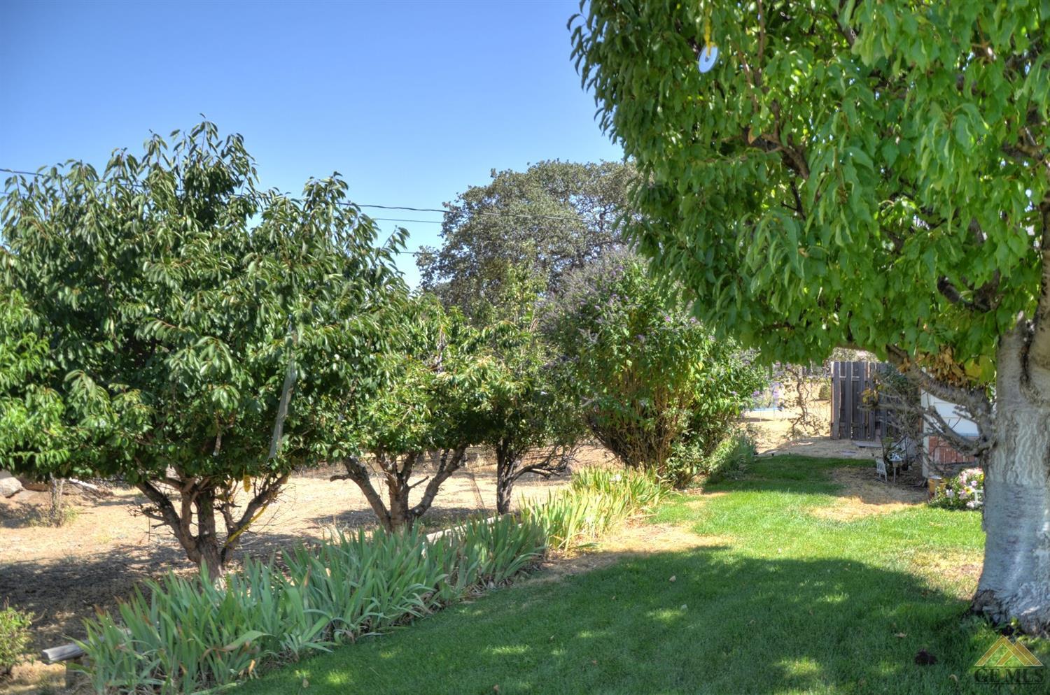 21400 Hacienda Dr, Tehachapi, CA 93561 photo 20
