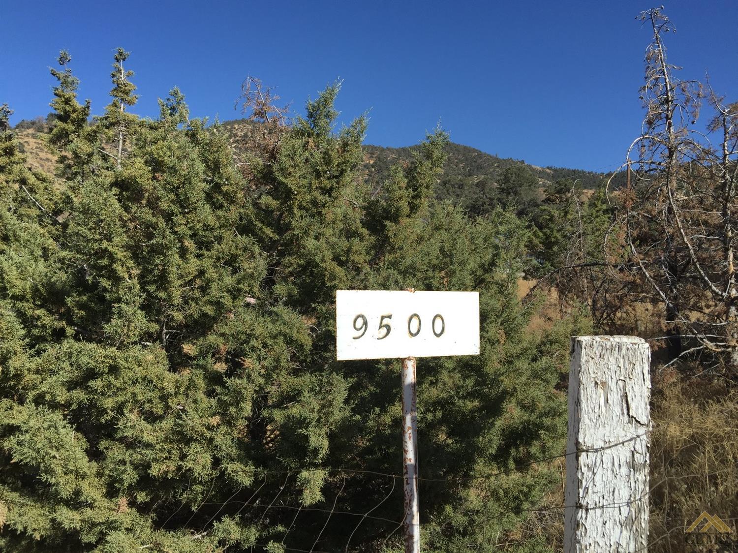 9500 Pine Grove Dr, Tehachapi, CA 93561 photo 3