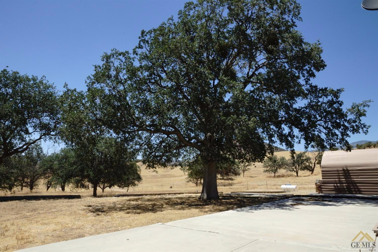 13751 Paradise Valley Rd, Caliente, CA 93518 photo 14