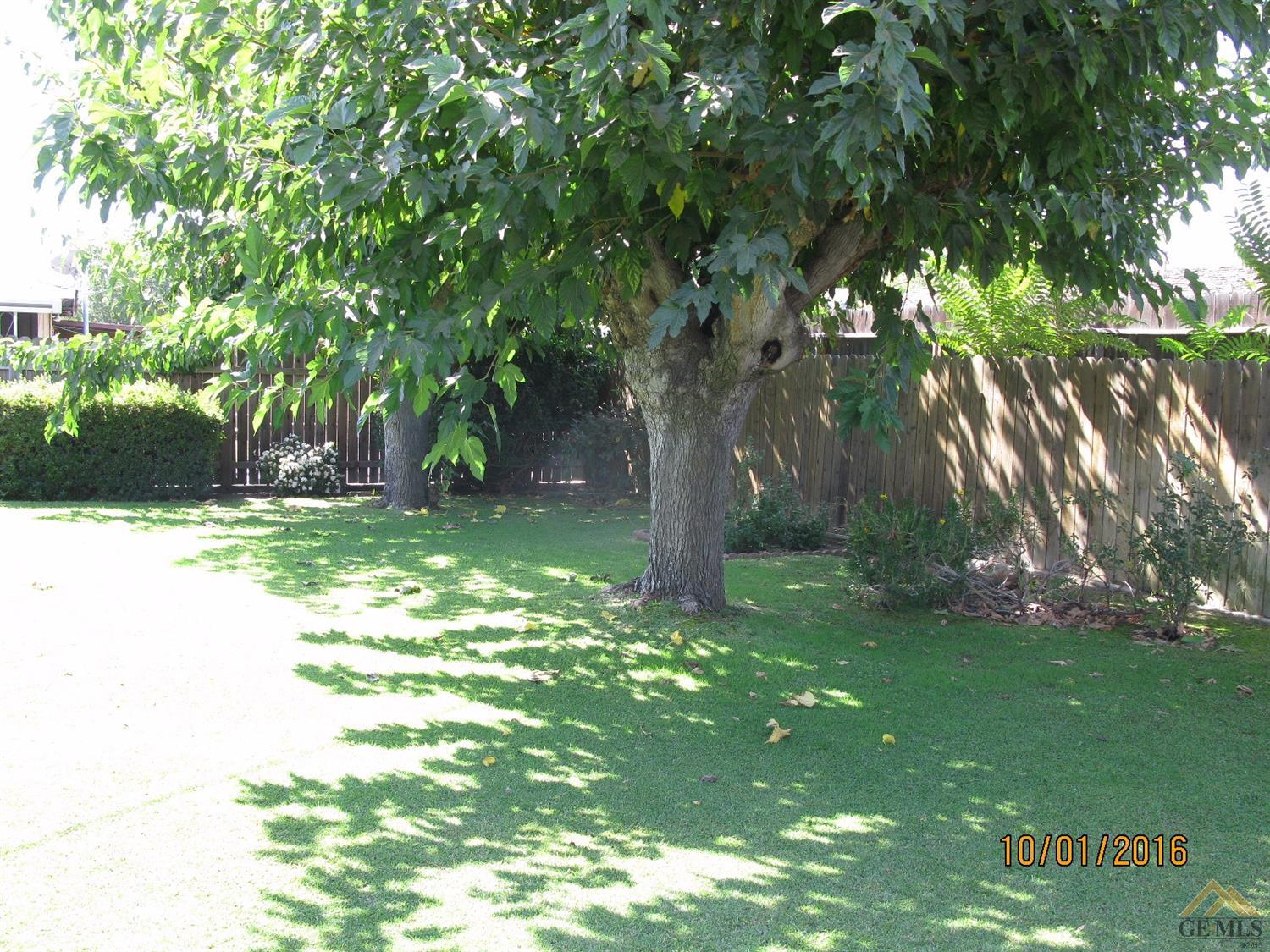 121 Bendix St, Bakersfield, CA 93308 photo 17