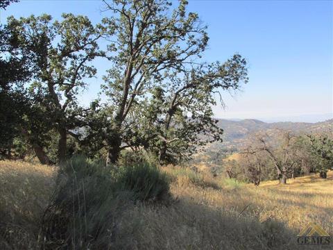 29920 Starland Dr, Tehachapi, CA 93561 photo 5