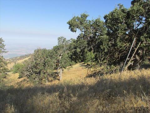 29920 Starland Dr, Tehachapi, CA 93561 photo 6
