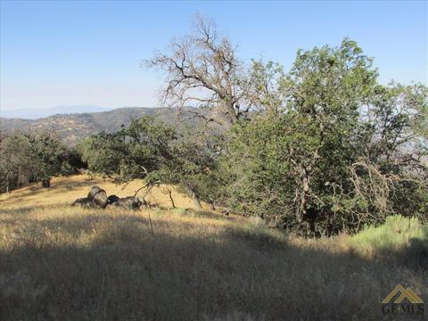 29920 Starland Dr, Tehachapi, CA 93561 photo 4