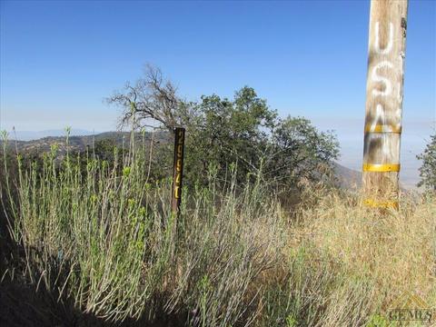29920 Starland Dr, Tehachapi, CA 93561 photo 2