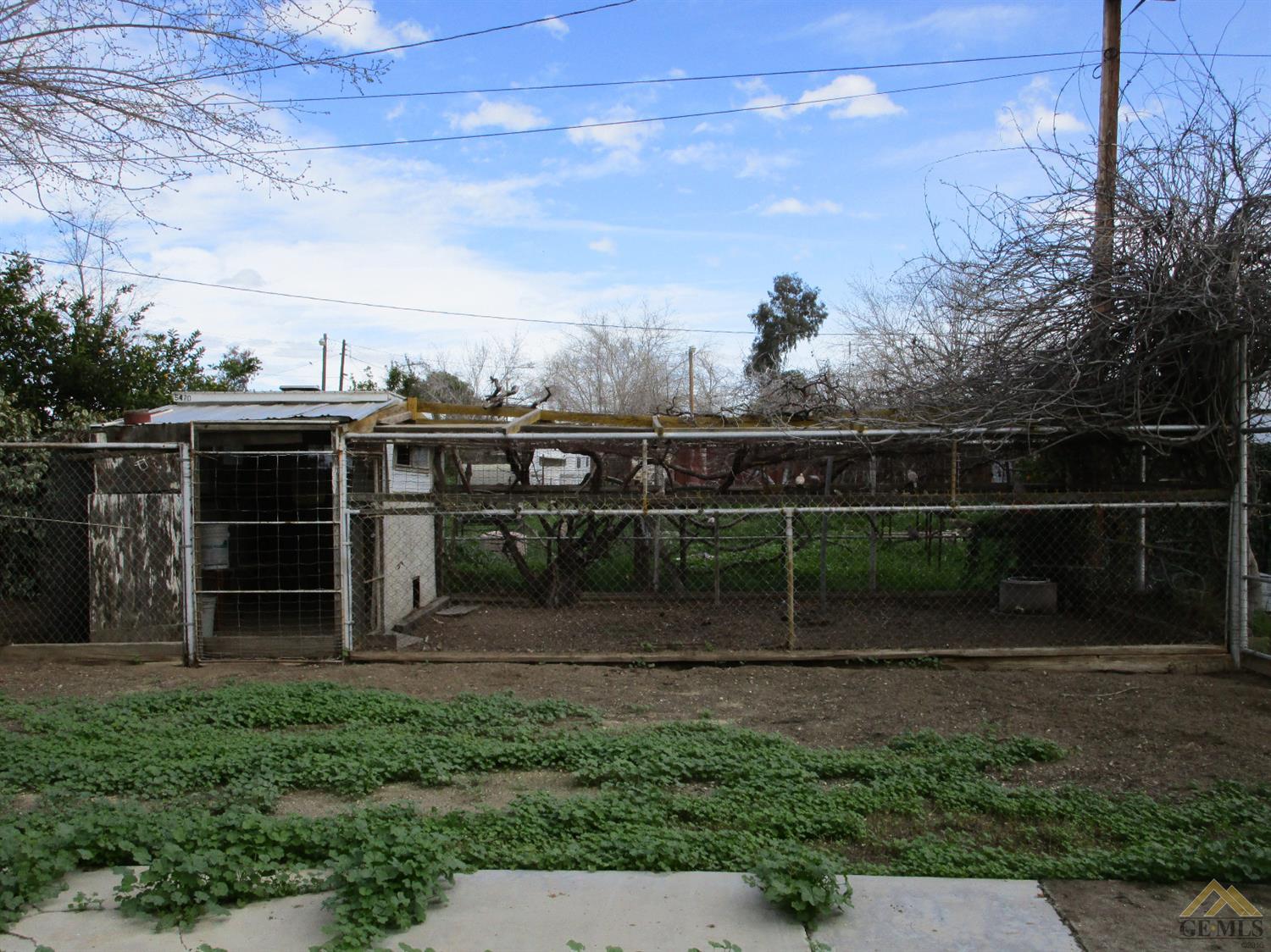 27540 Maple St, Taft, CA 93268 photo 28