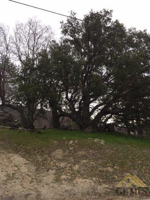 27221 Deertrail Dr, Tehachapi, CA 93561 photo 1