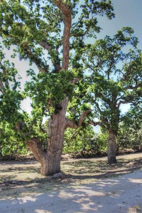 26681 Bear Valley Rd, Tehachapi, CA 93561 photo 18