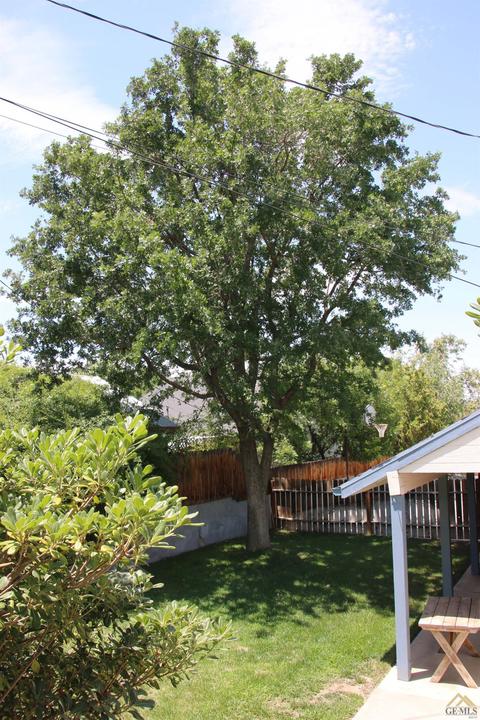 727 Philippine St, Taft, CA 93268 photo 23
