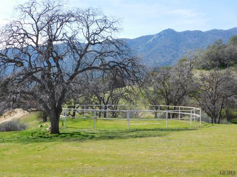 21585 Pine Tree Rd, Caliente, CA 93518 photo 22