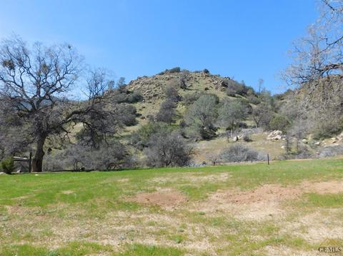 21585 Pine Tree Rd, Caliente, CA 93518 photo 24