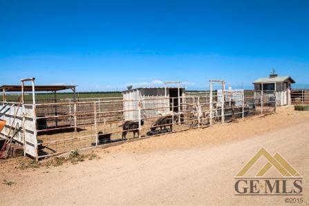 25954 Mccombs Rd, Wasco, CA 93280 photo 21