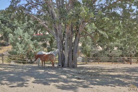24150 Serra Pl, Tehachapi, CA 93561 photo 35