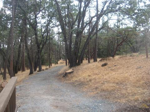 45311 Forest Dr, Posey, CA 93260 photo 23