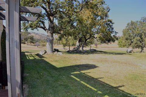28881 Shannon Ct #33, Tehachapi, CA 93561 photo 18