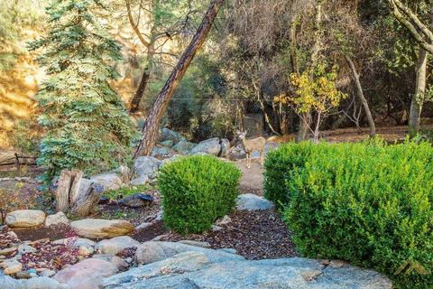 21913 Mountain Dr, Tehachapi, CA 93561 photo 5