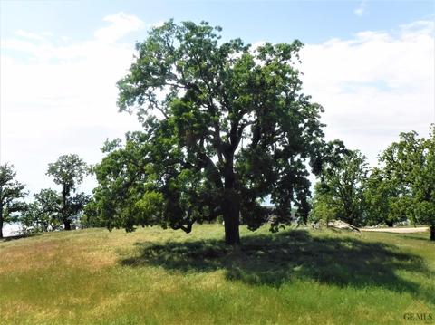 27130 El Camino Dr, Tehachapi, CA 93561 photo 24