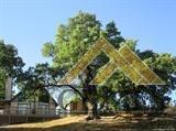 19504 Moon Dr, Tehachapi, CA 93561 photo 3